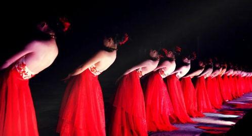 陈诗雅的演艺梦