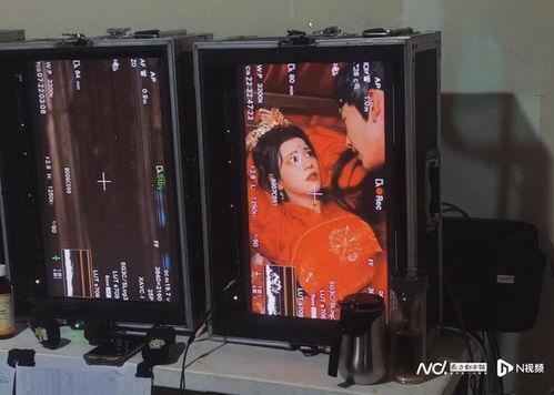 重生过气歌手前妻导师肝肠寸断,肝肠寸断回忆如潮