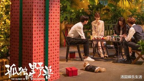 孤独的野兽,探寻内心深处的孤独与自由