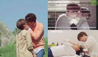 灰姑娘与四骑士,魔法与命运的传奇对决