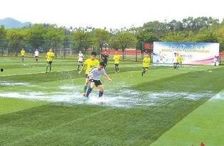 绿茵场外,探寻足球背后的故事与情感
